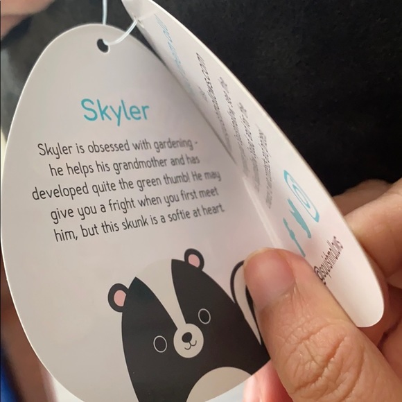 Squishmallows Toys | Skyler The Skunk Squishmallow | Poshmark
